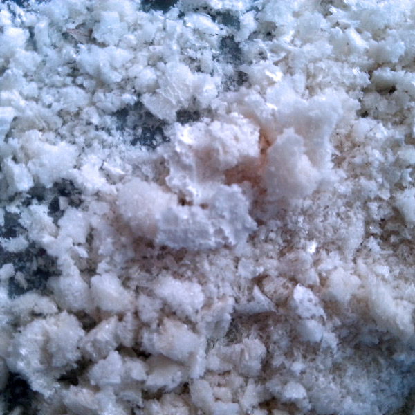 Biológico Liofilizacion Liofilización de Biológico