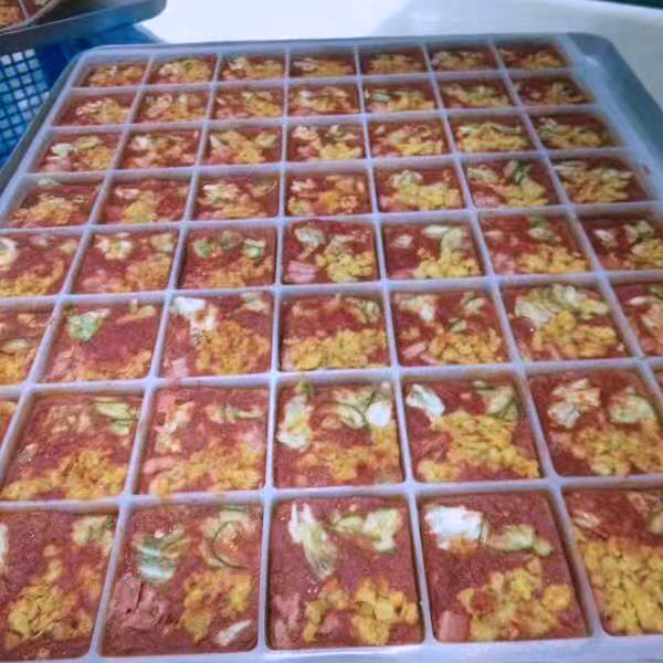 Liofilización de Alimento Liofilización de Alimento