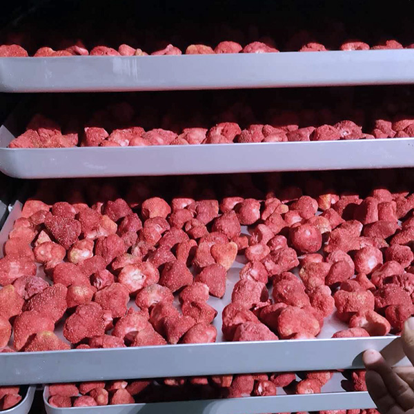 Frutas Liofilizacion Liofilización de Frutas Vegetales