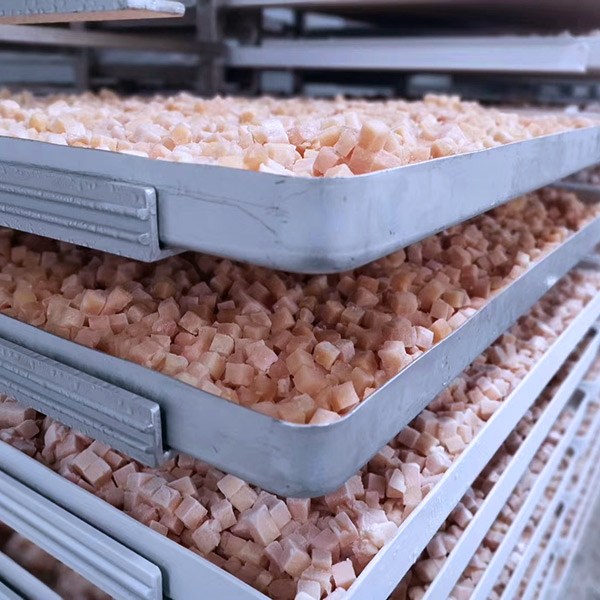 Liofilización de alimentos para mascotas Liofilización de Alimentos para Mascotas