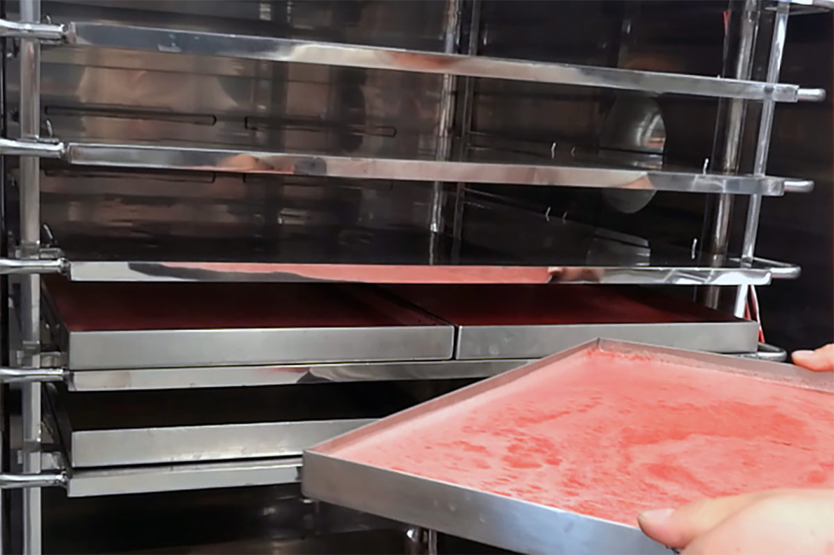 Liofilizador FDL puede utilizar en diversas industrias