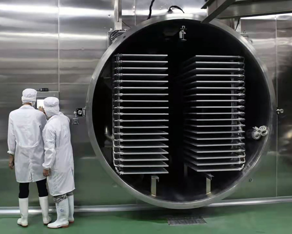 FDR Liofilizador Industrial para Alimentos