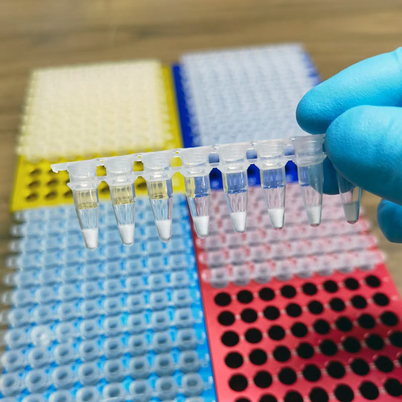 Ejemplo de aplicación de la liofilización