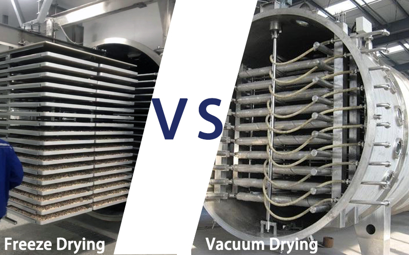 Differences Between Freeze Drying and Vacuum Drying