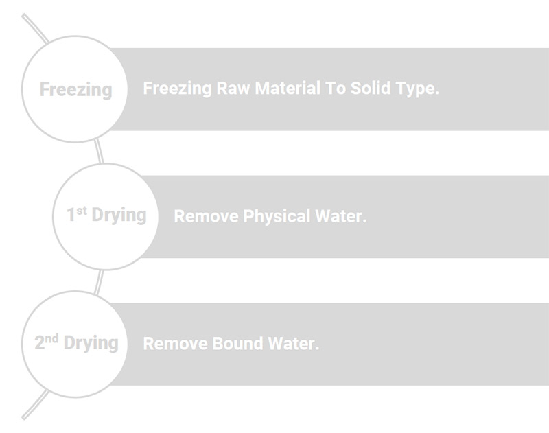 Freeze Drying Working Steps