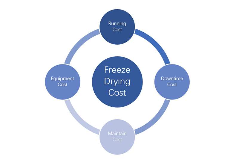 Freeze Drying Cost Analyze