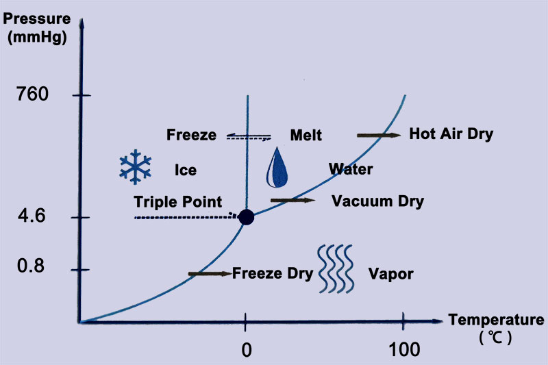 Freeze Drying Theory Based On Water Triple Point Phase Diagram