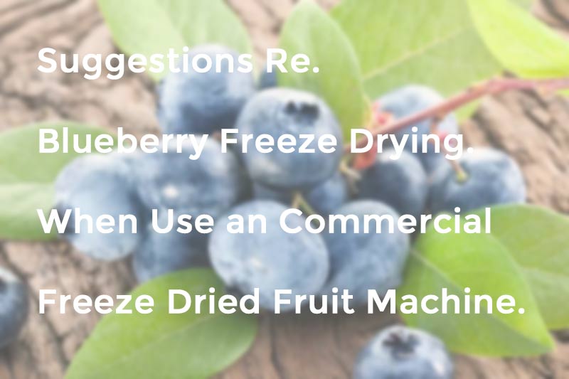 The Right Way To Freeze Dry Blueberries