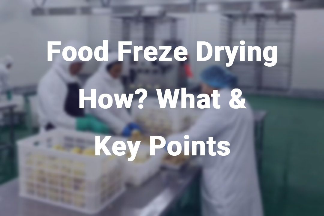 Food Freeze Drying: How, What and Key Points Need Pay Attention To
