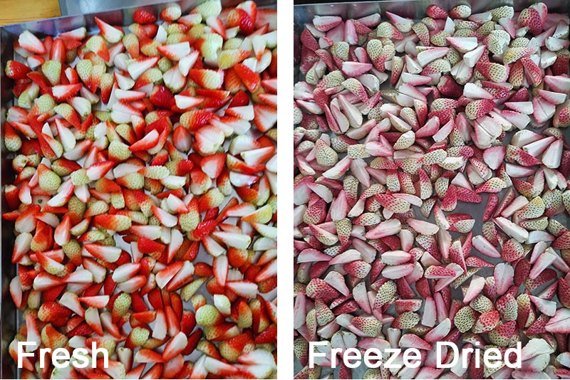 Freeze Dry Quarter Strawberries