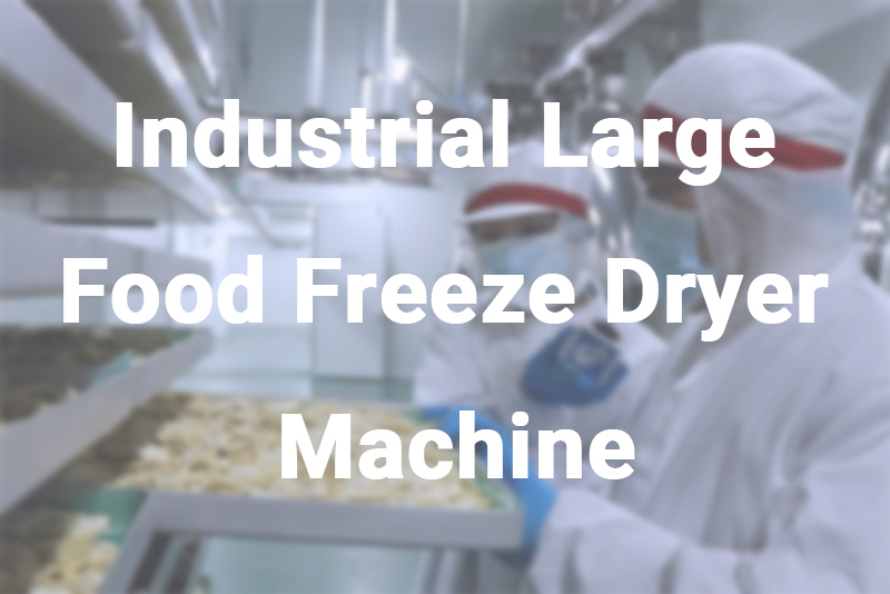 Food Freeze Drying Process and Industrial Machine Operation