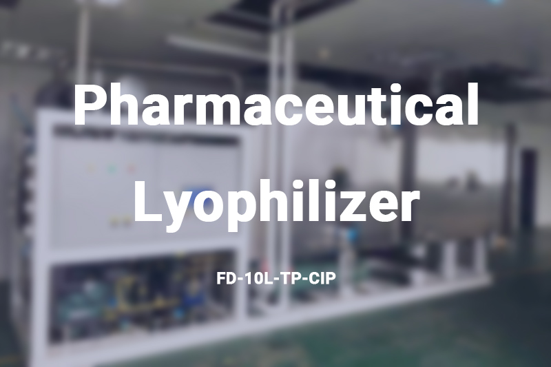 Pharmaceutical Lyophilizer FD-10L-TP