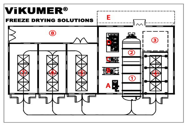 Vikumer Industrial food freeze drying machine layout