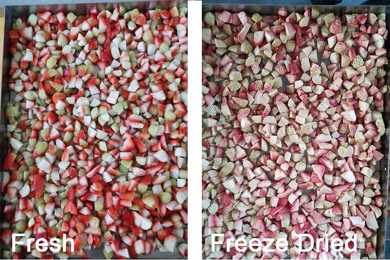 Cubed strawberry freeze drying