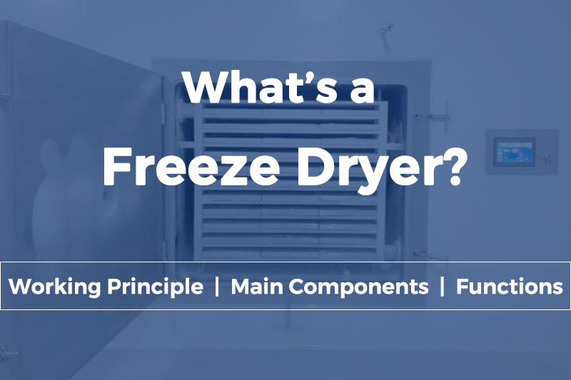 Harvest Right freeze dryer