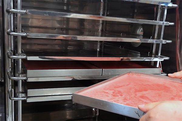 freeze drying process procedures