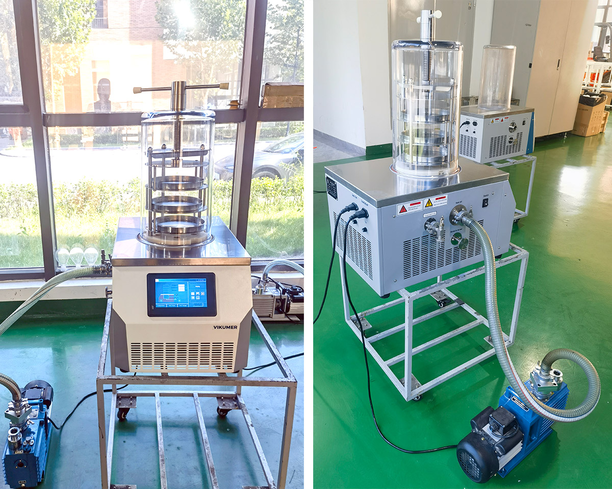 Laboratory Benchtop Freeze Dryer LGJ-10