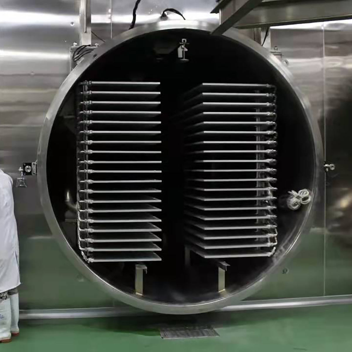 FDR Industrial Food Freeze Dryer