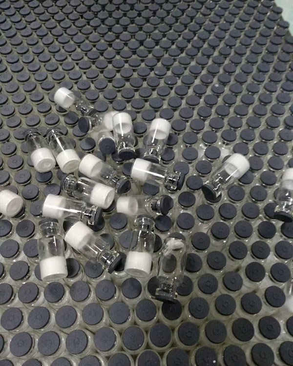 Pharmaceutical Freeze Drying Example