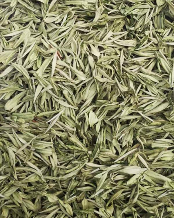 Herb Freeze Drying Example